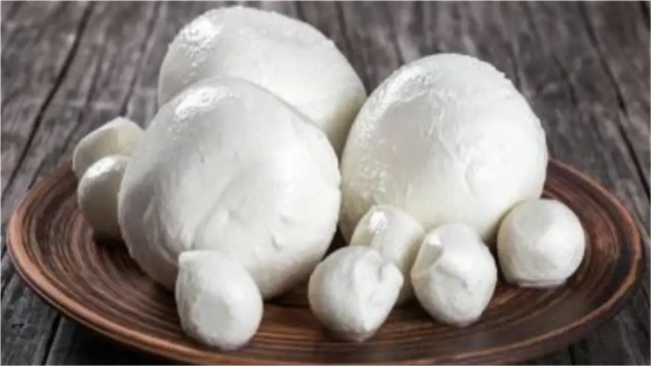 شراء الزبدة الفلاحي في يناير يضمن حفظها لفترة أطول وجودة طعم أفضل